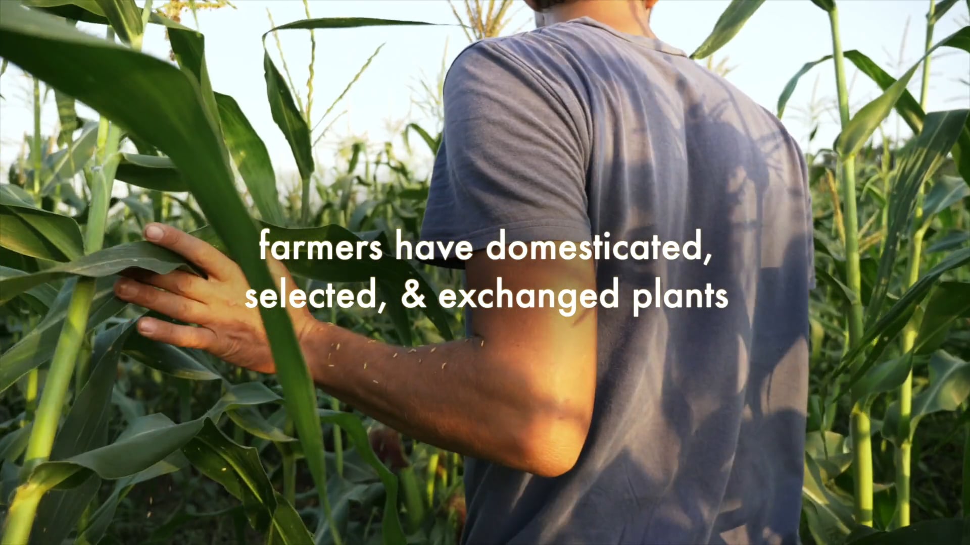Biodiversity for Resilience: Farmers, Dedicated Stewards of Plant Diversity