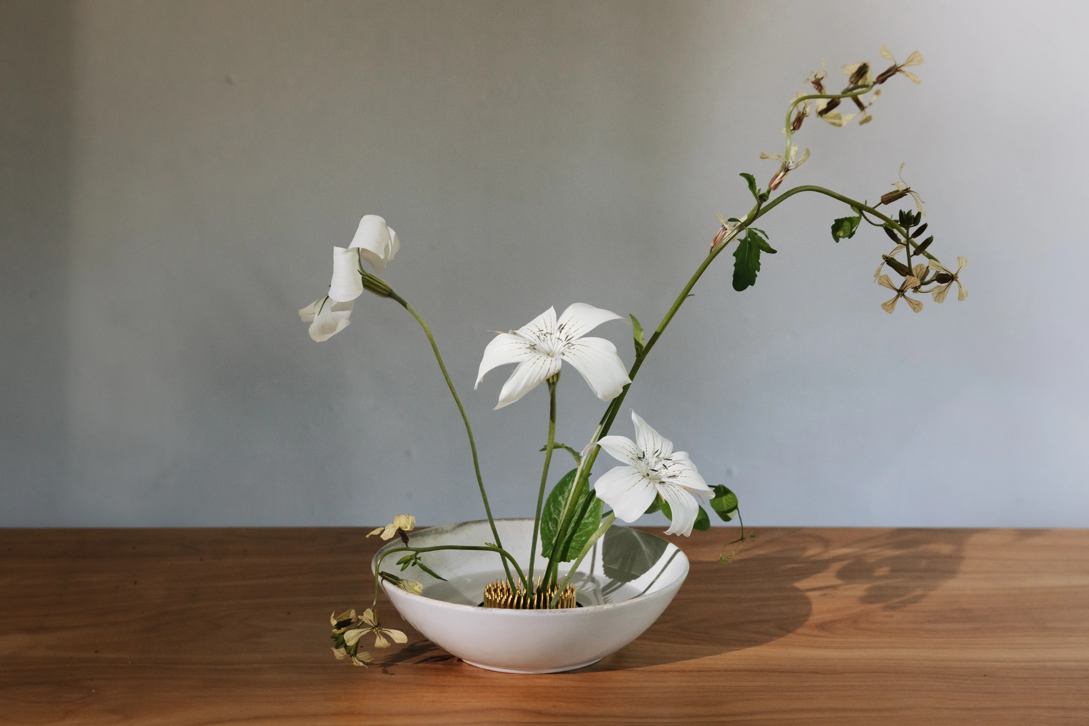 Niwaki Kenzan Frog | Boston General Store