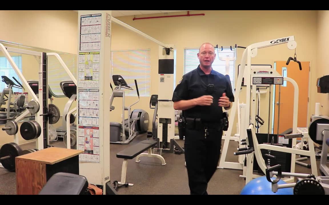 Bear Required Paws for Action on Vimeo