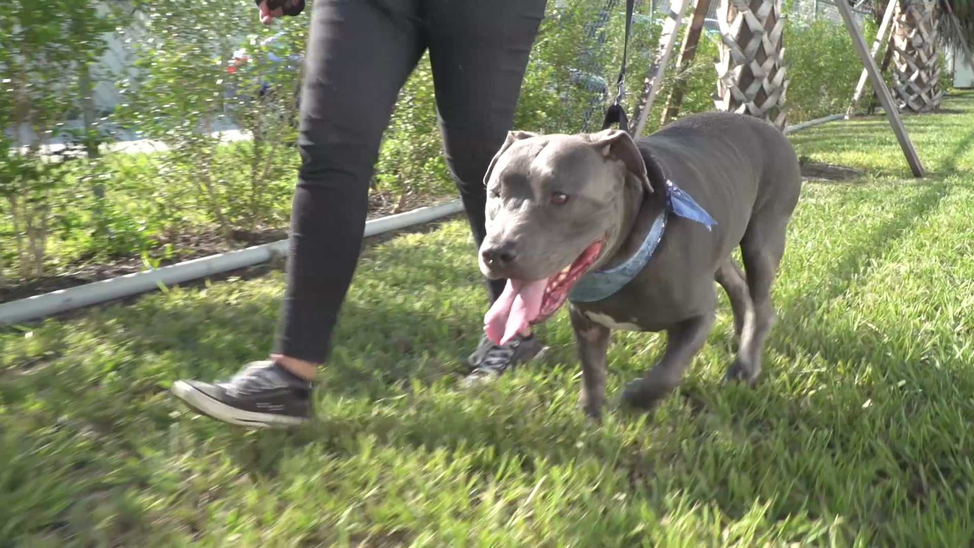 Captain's Log (90-second version for HSSC)