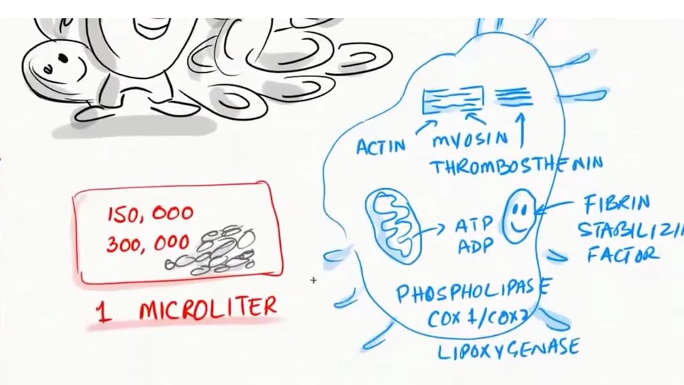 COVID-19 and Epoprostenol (Hypercoagulation Management)