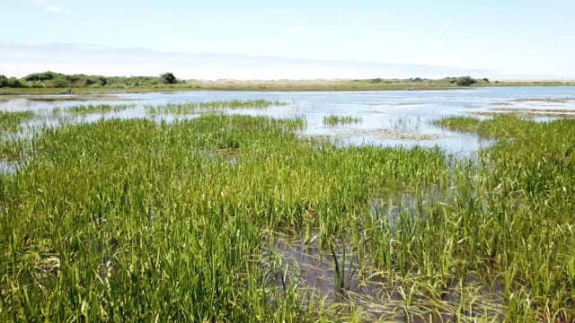 Lake Cape Meares Water - Free video on Pixabay