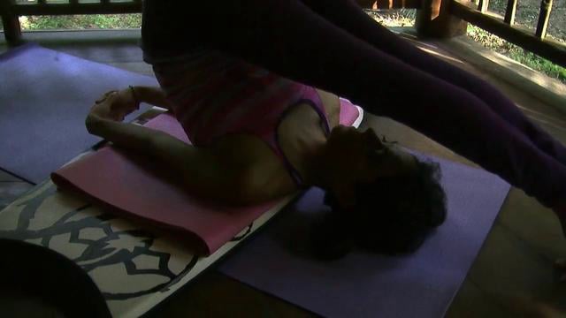 Asana Kitchen Practical Tips: Plank to Chaturanga Dandasana with David  Garrigues on Vimeo