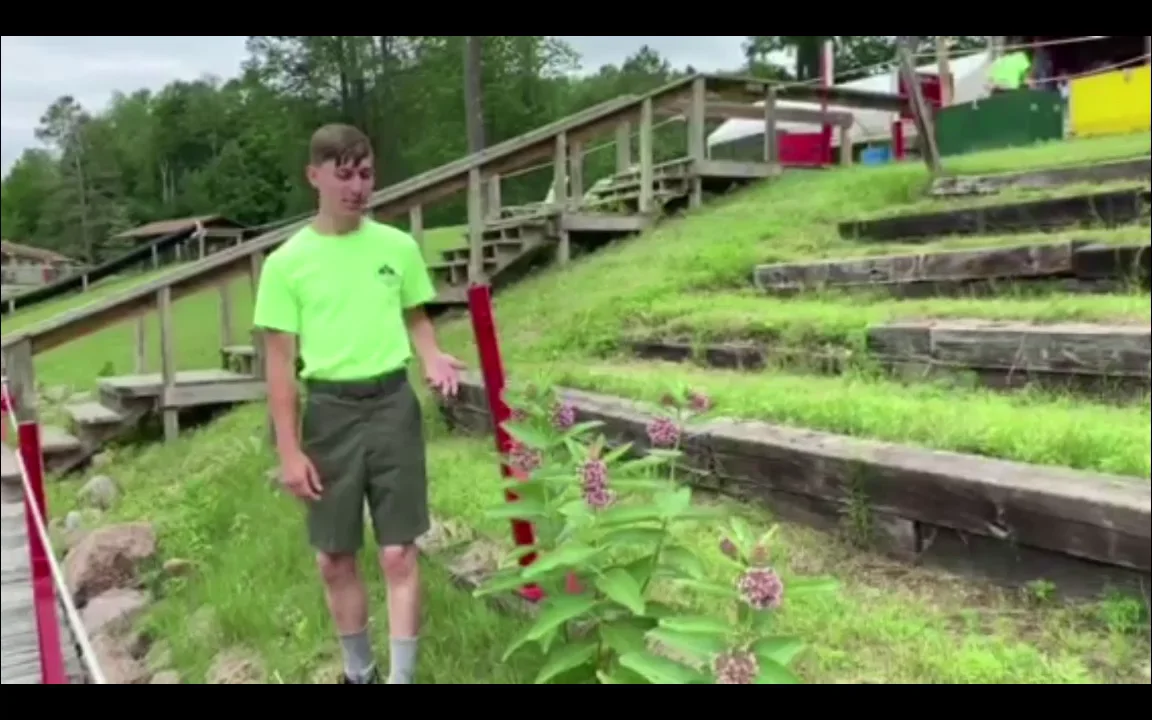 Webelos - Elective - Into the Woods on Vimeo
