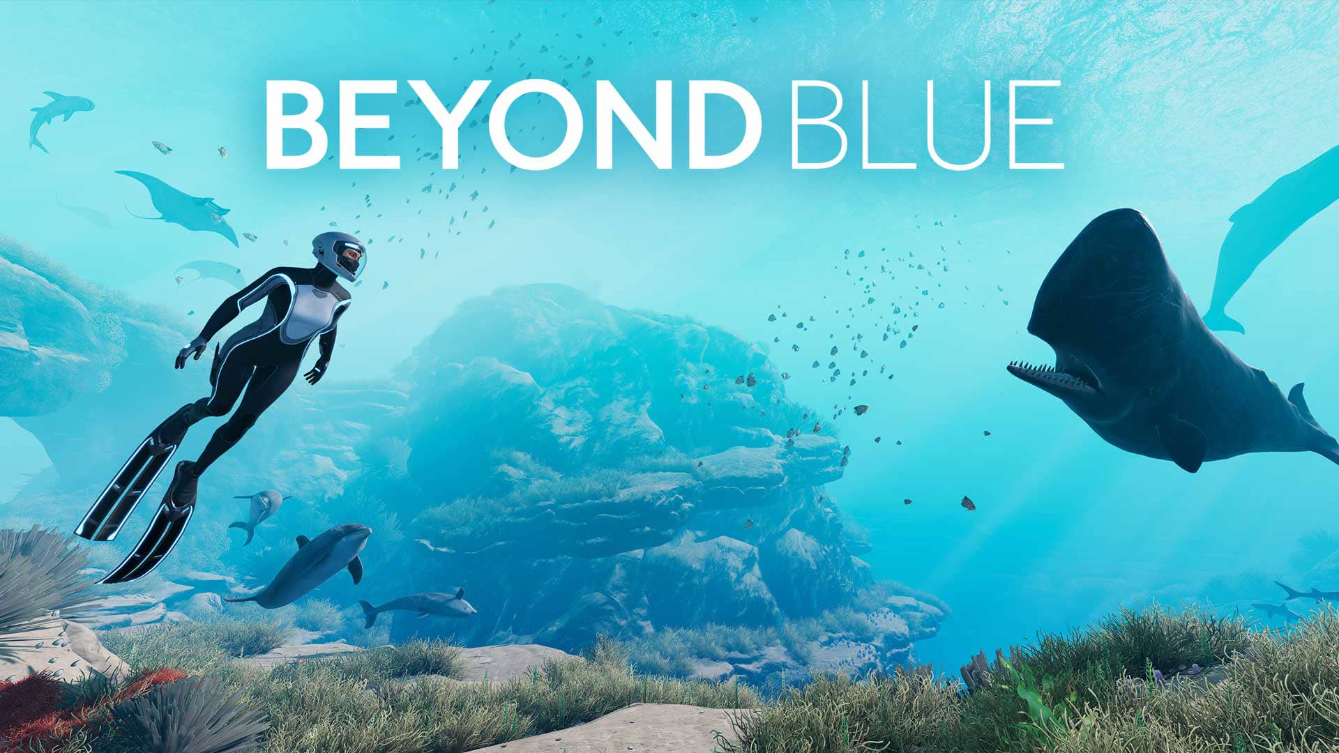 Beyond Blue - Gameplay Trailer on Vimeo
