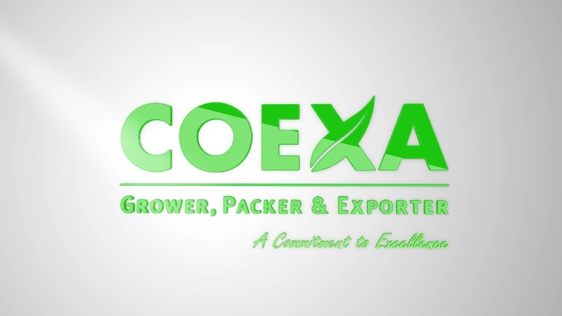 Coexa - Institucional