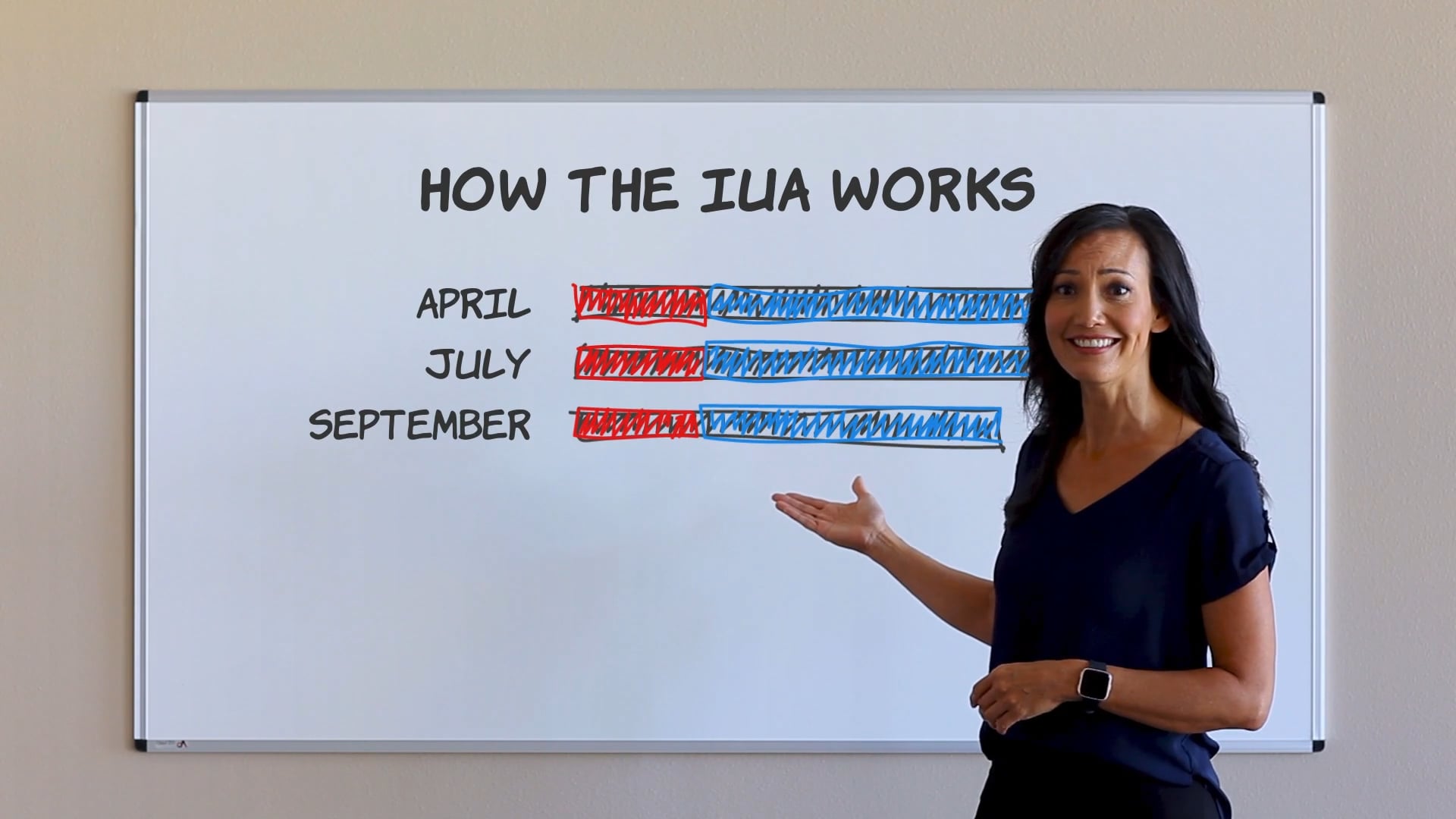 IUA 01 - How the IUA Works