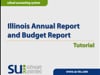 Illinois Annual Report and Budget Report