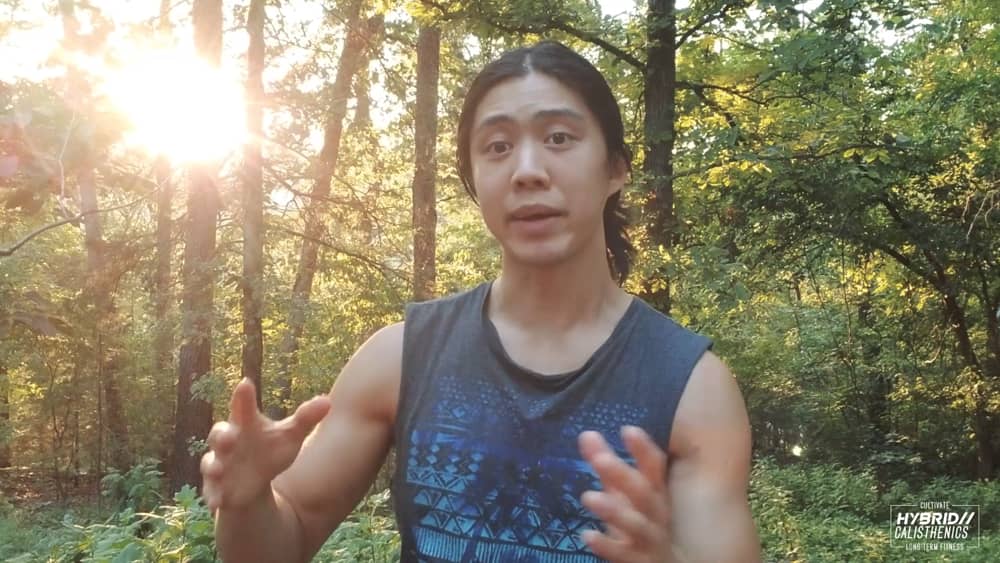 Hybrid calisthenics cultivate What is