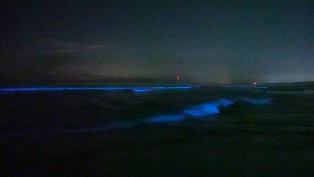 Glowing blue ocean bioluminescence in Monterey, California