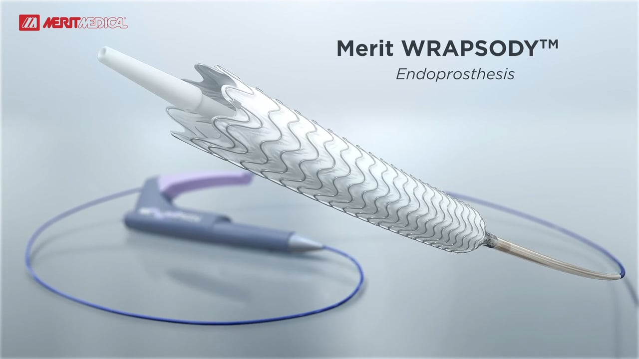 Introducing Merit WRAPSODY Endoprosthesis on Vimeo