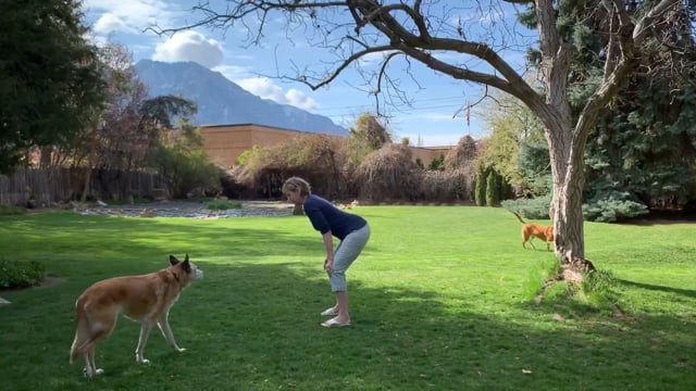 Bodhi Yoga™ Lower Back Release