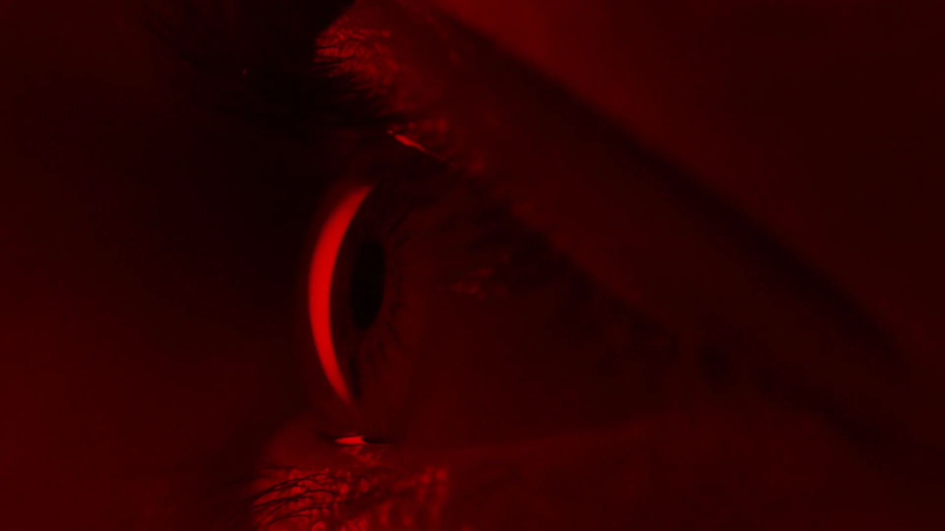 The Divine Comedy, Alfredo Jaar. on Vimeo