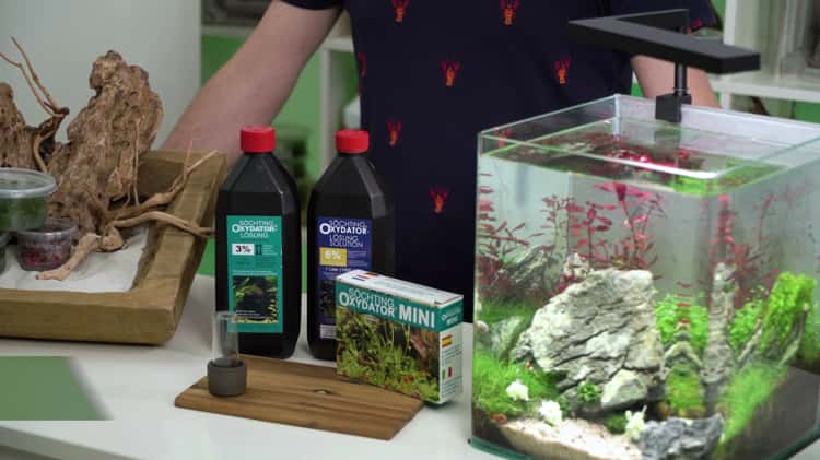 Der Oxydator - aktiver Sauerstoff für dein Aquarium on Vimeo