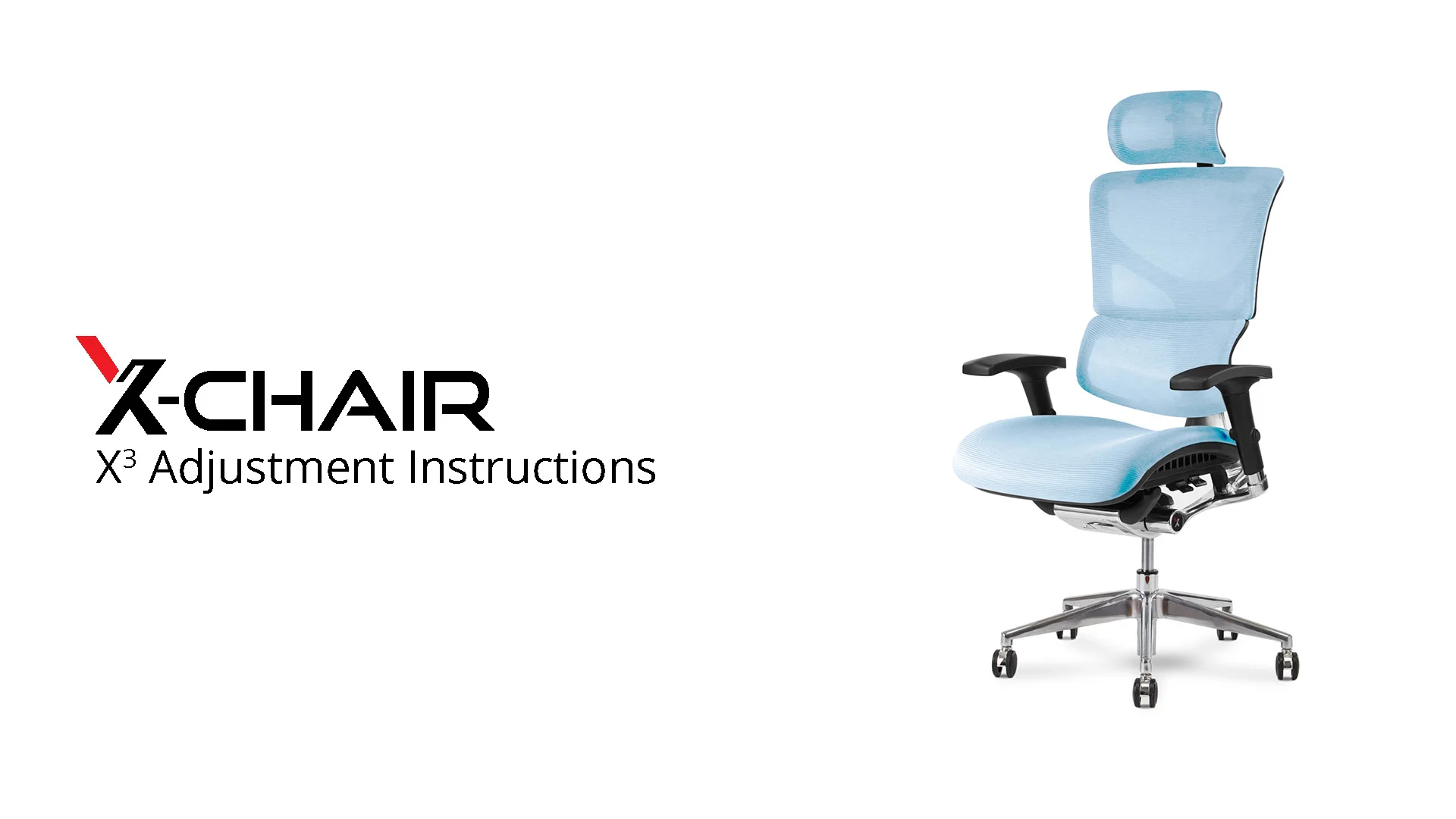 X2 & X4 Management Office Chair - 10 Ergonomic Adjustments 