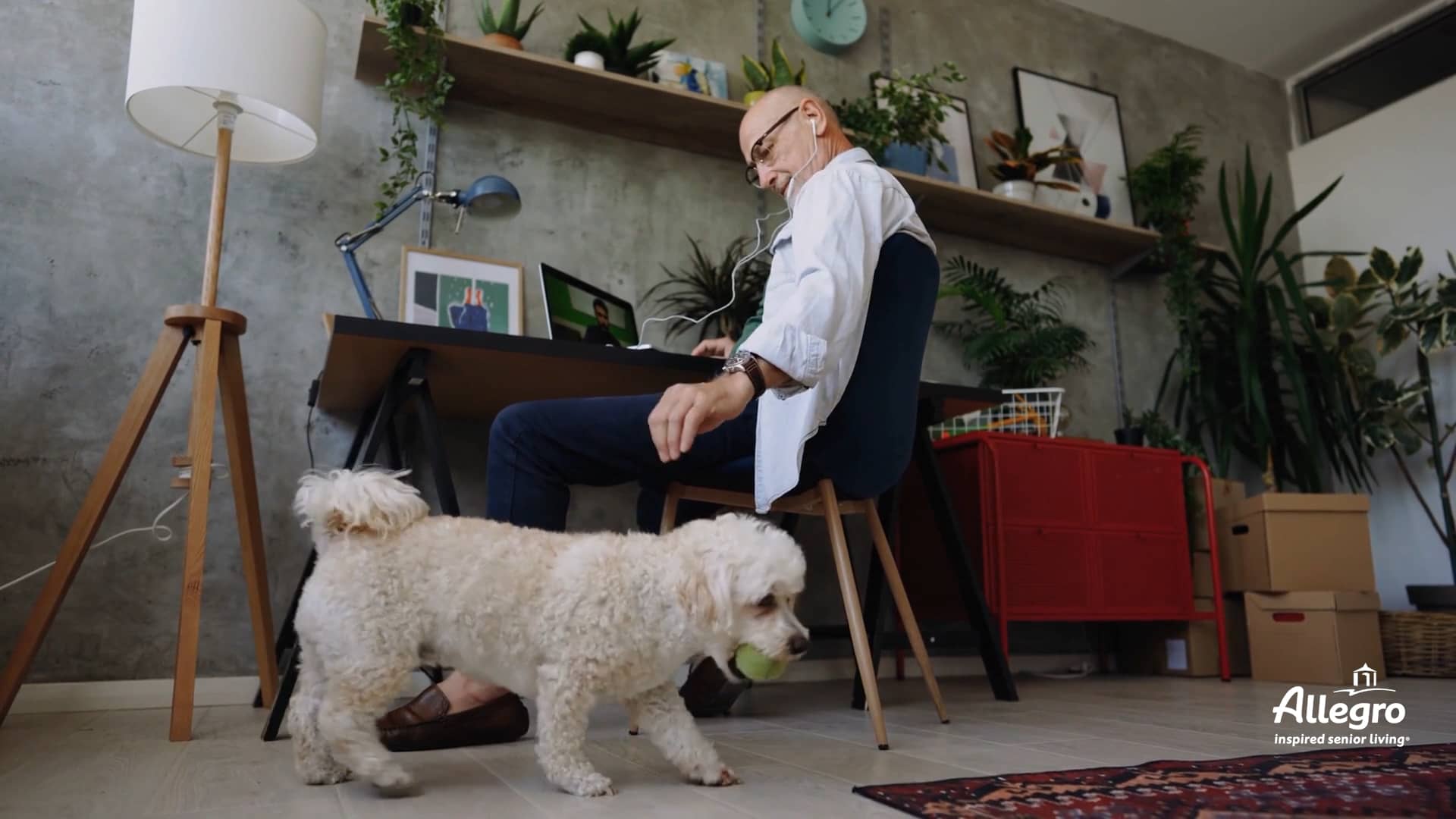 Allegro Parkland Pet Video on Vimeo