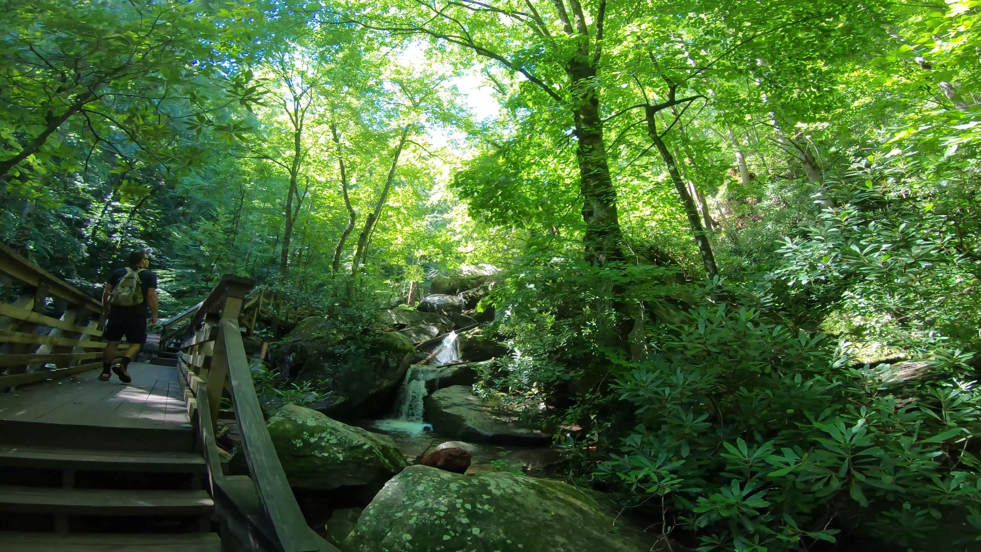 High Shoals Park Hike Gopro RD1 on Vimeo