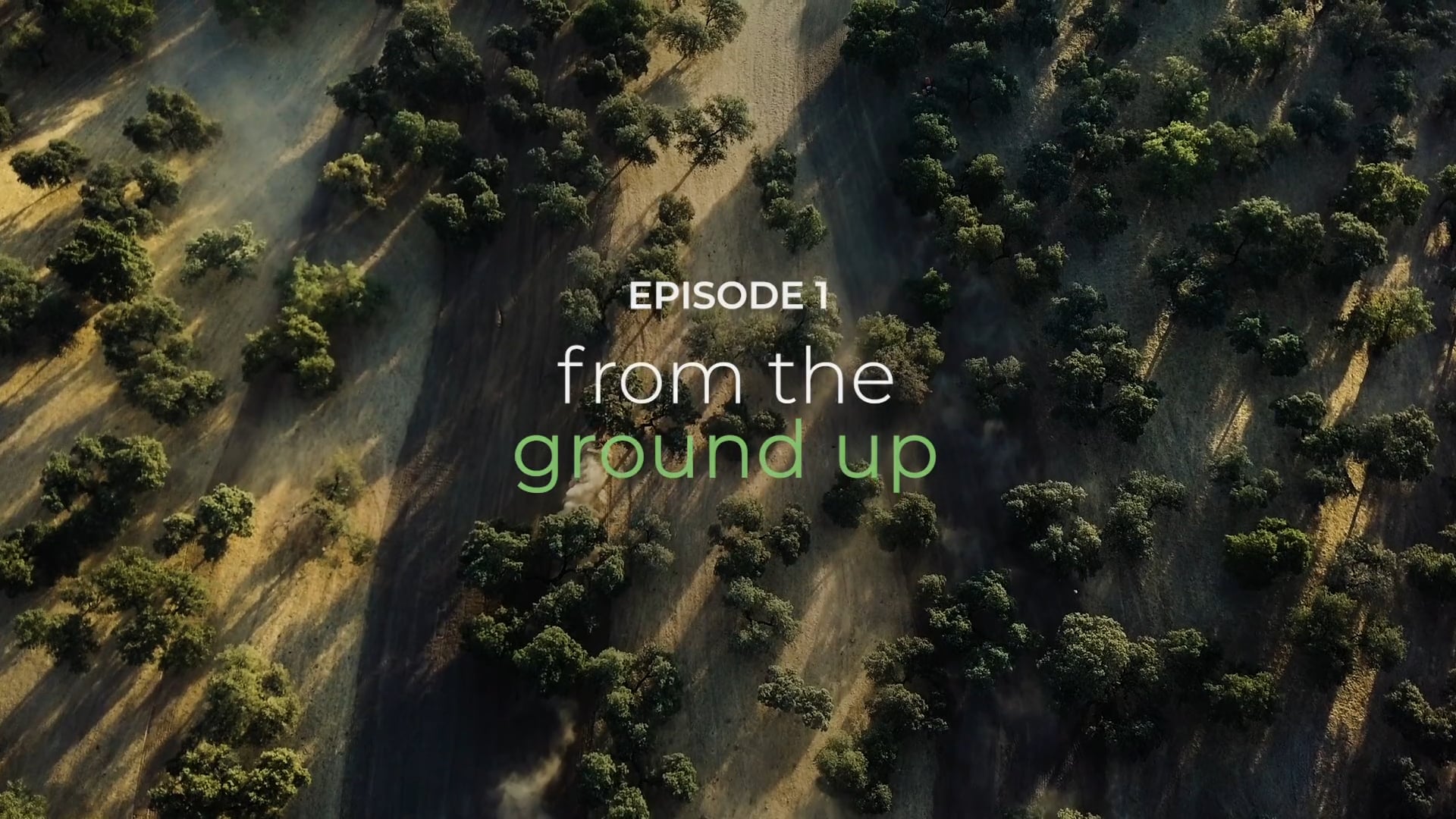 EPISODE 1. From The Ground Up