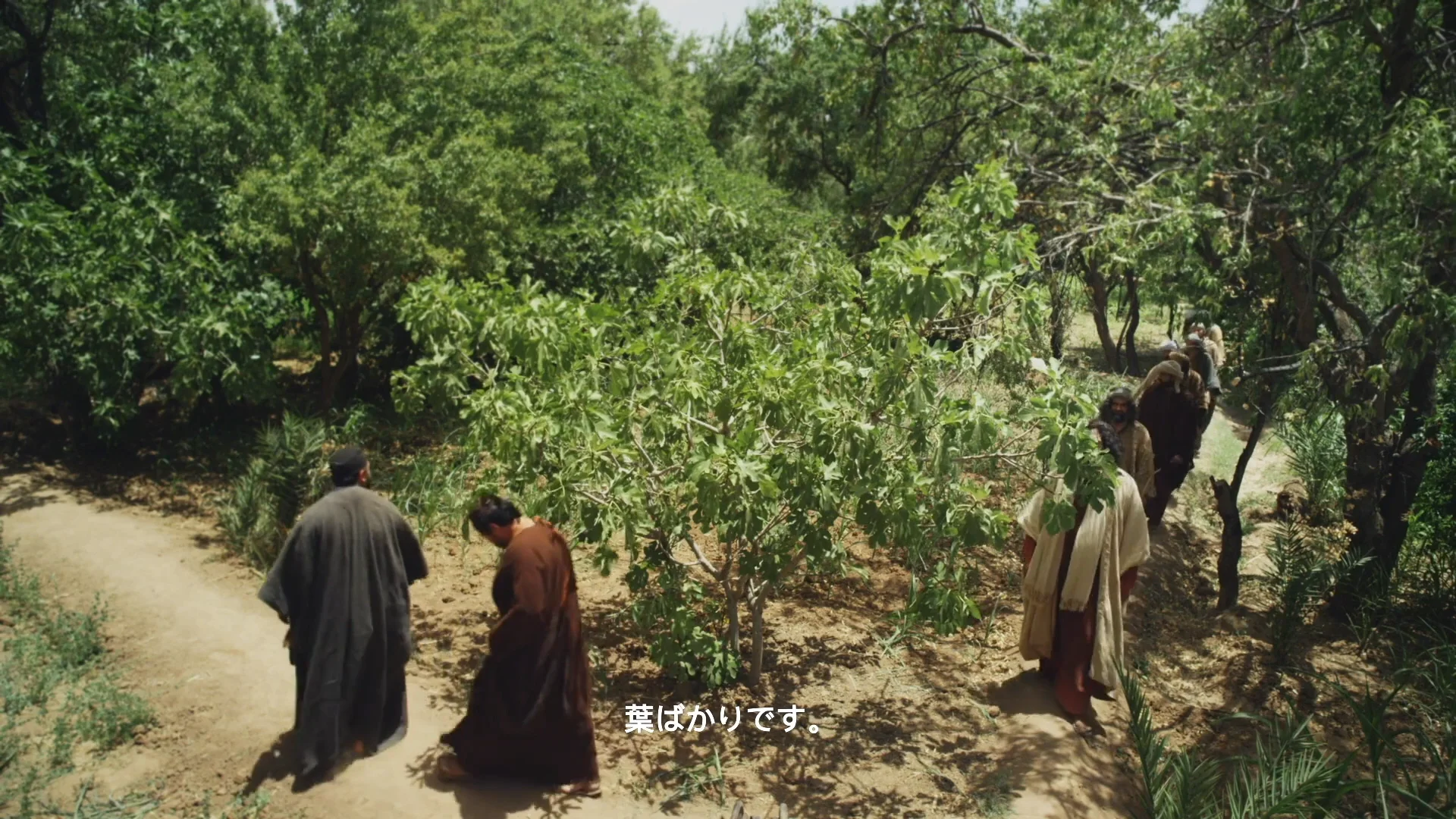 マタイの福音書21章1節～21章22節「エルサレムへ」 | 聖書チャンネル