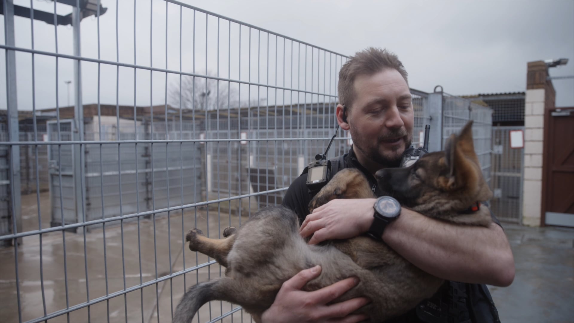 Leicestershire Police - Jura the puppy