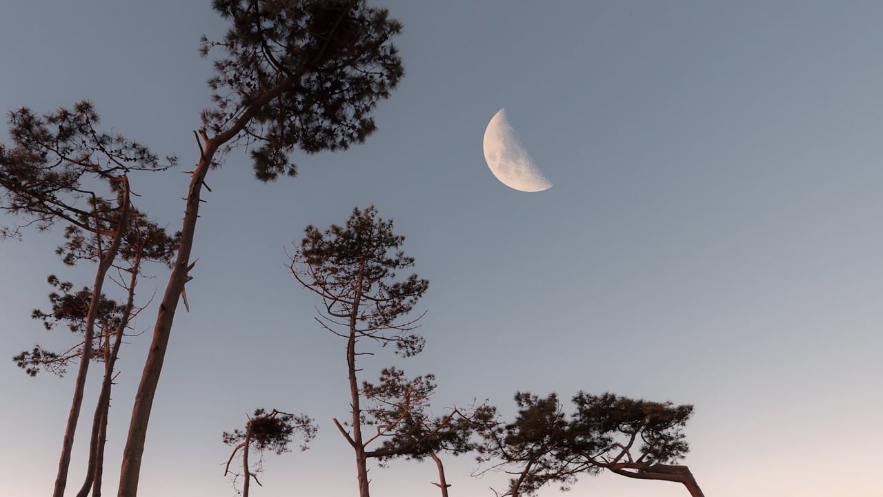 2. Méditation de la nouvelle lune avec Aurélie Langlais (14 min)