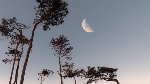 Méditation de la nouvelle lune