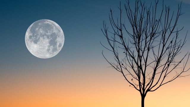 Méditation de la pleine lune