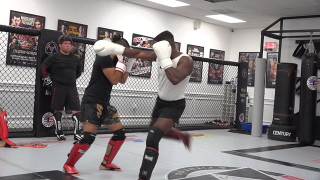 Feinting the  Lead Push Kick to Punches & Kicks
