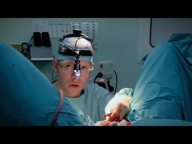 Urethral Stricture operation / bulbar urethroplasty using mouth graft / Embarrassing Bodies