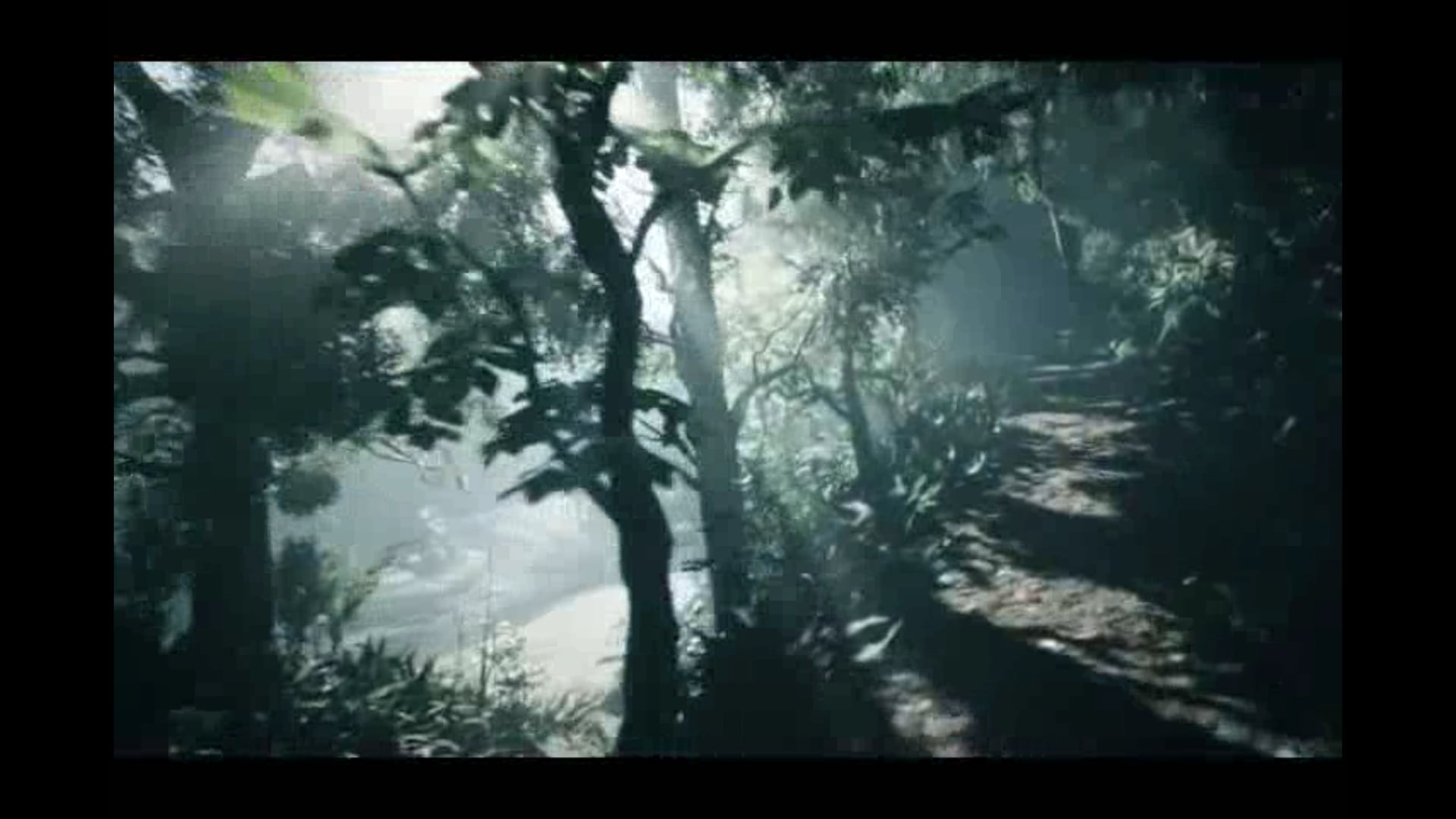 The Forest