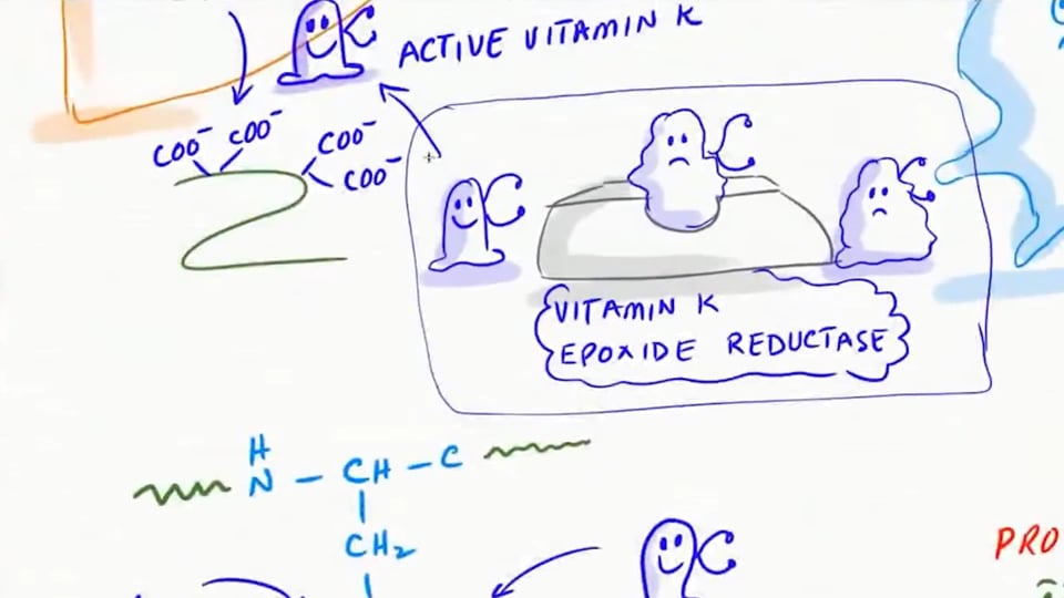 Vitamin K (Math+ Protocol)