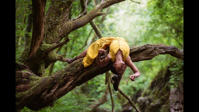 Vimeo Thumbnail (API)