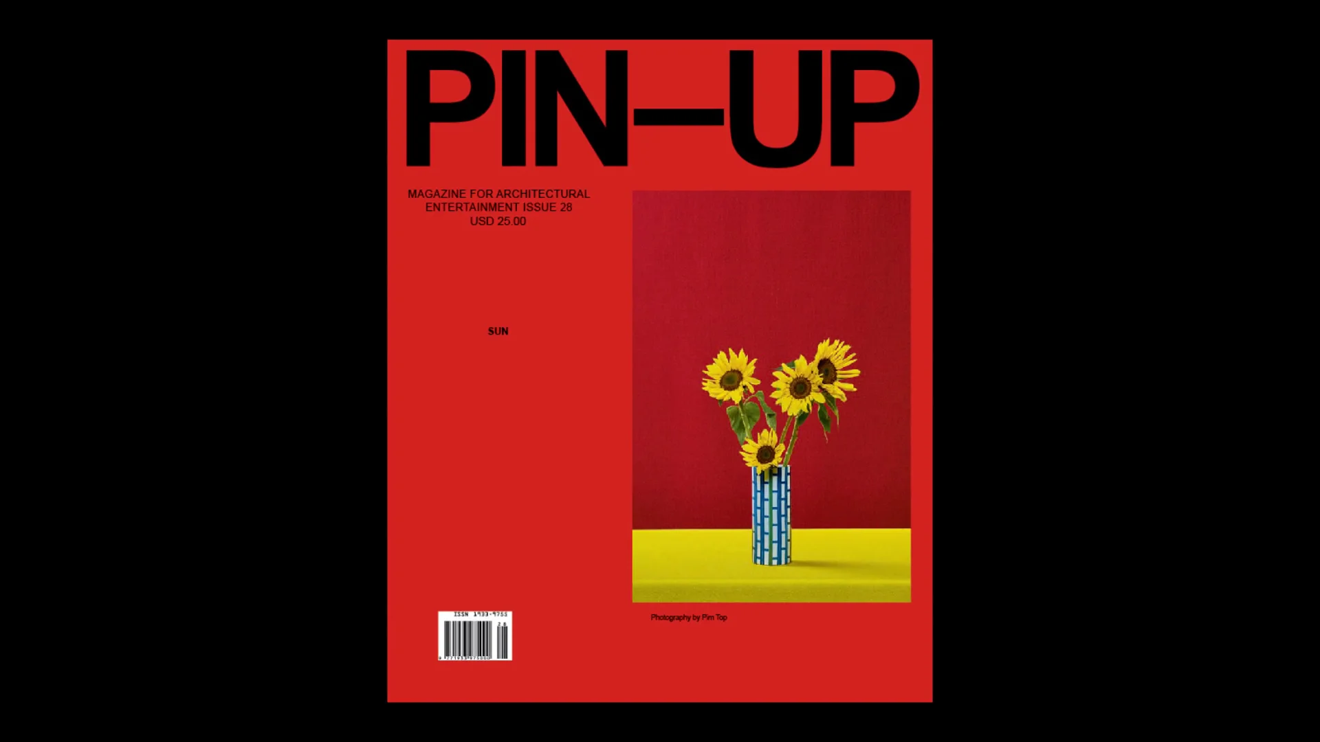 アート・デザイン・音楽 C international photo magazine number 3 _visd_0000JPG00CP9.jpg