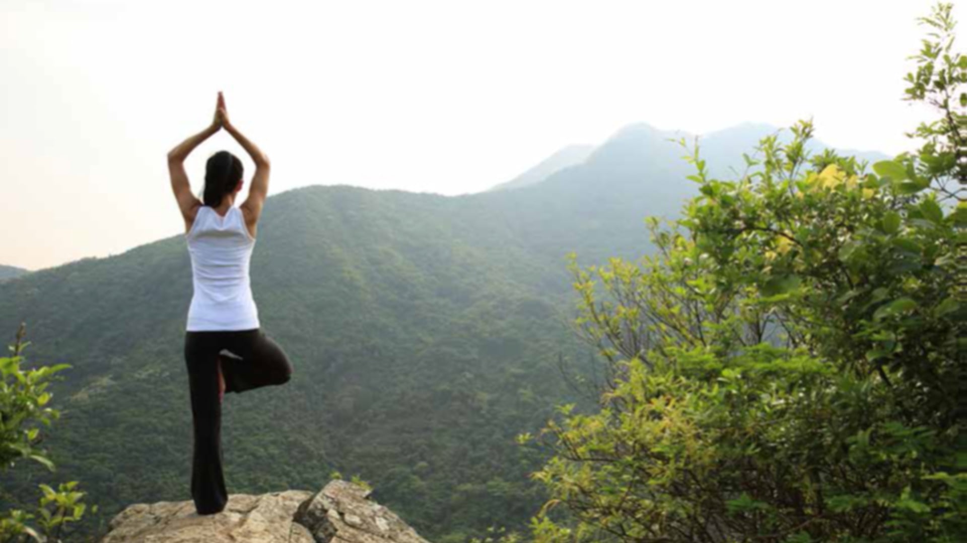 Caring for You Through COVID-19