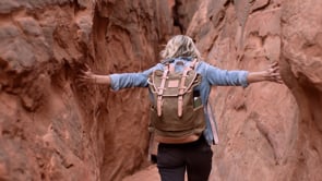 Pack Animal - Location Scout