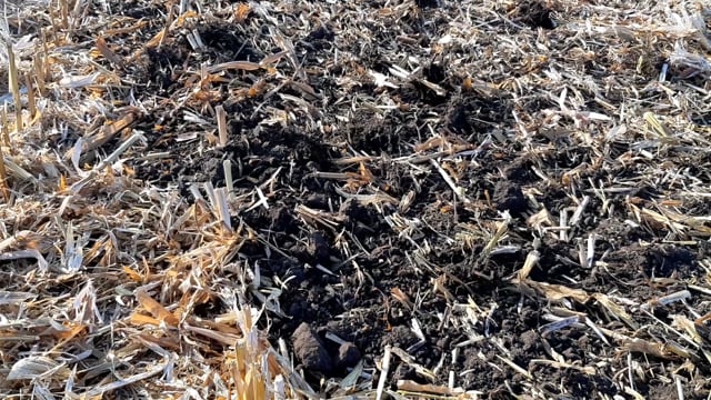 Quivogne Discacrop EVO