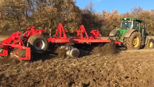 Quivogne tanjurača (2)