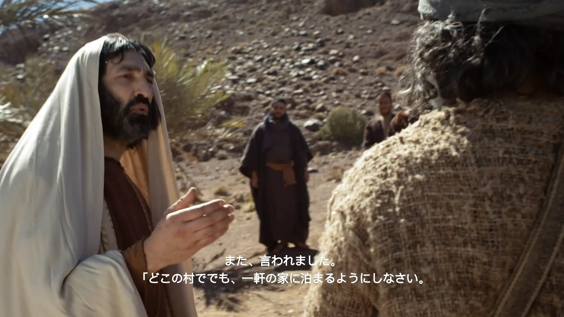 マルコの福音書5章21節～6章13節「イエス、少女を生き返らせる