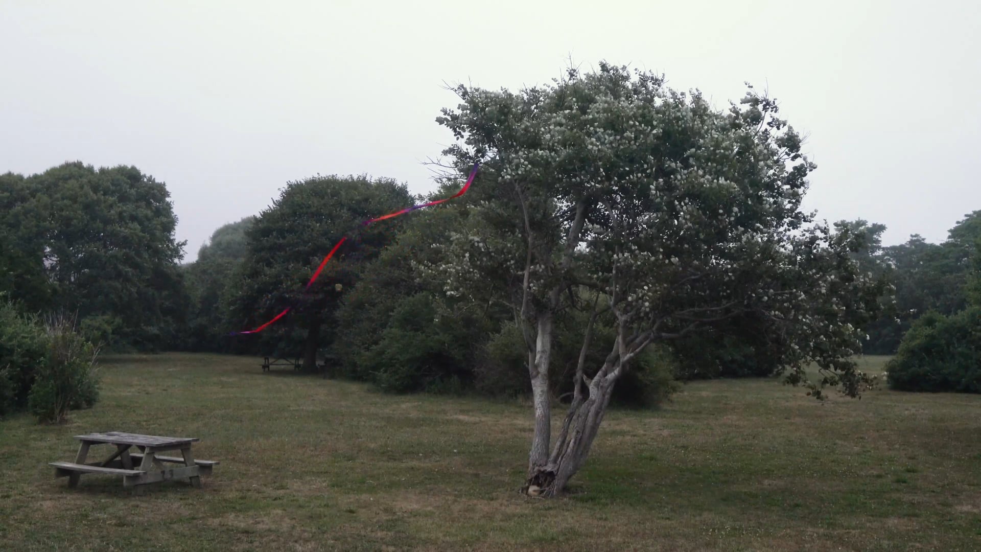 Brenton State Park Performance, 2018