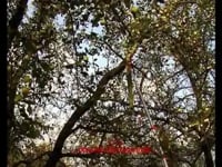 This is &amp;quot;111621_Obstsch&amp;uuml;ttler_v1&amp;quot; by FAIE Handelsgesellschaft mbH on Vimeo, the home for high quality videos and the people who love them.
