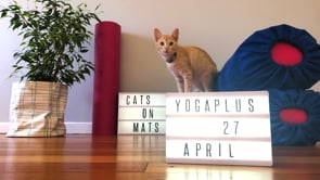 Related Embedded Video Item Thumbnail