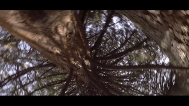 Vimeo Thumbnail (API)