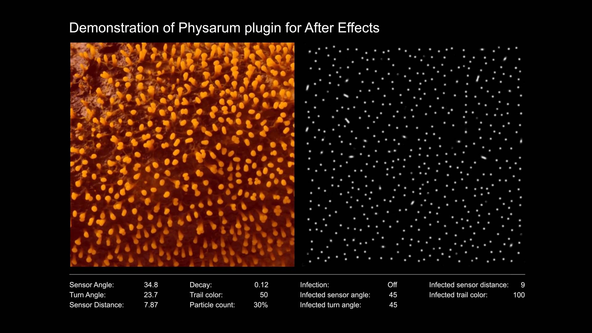 Physarum plugin for After Effects on Vimeo