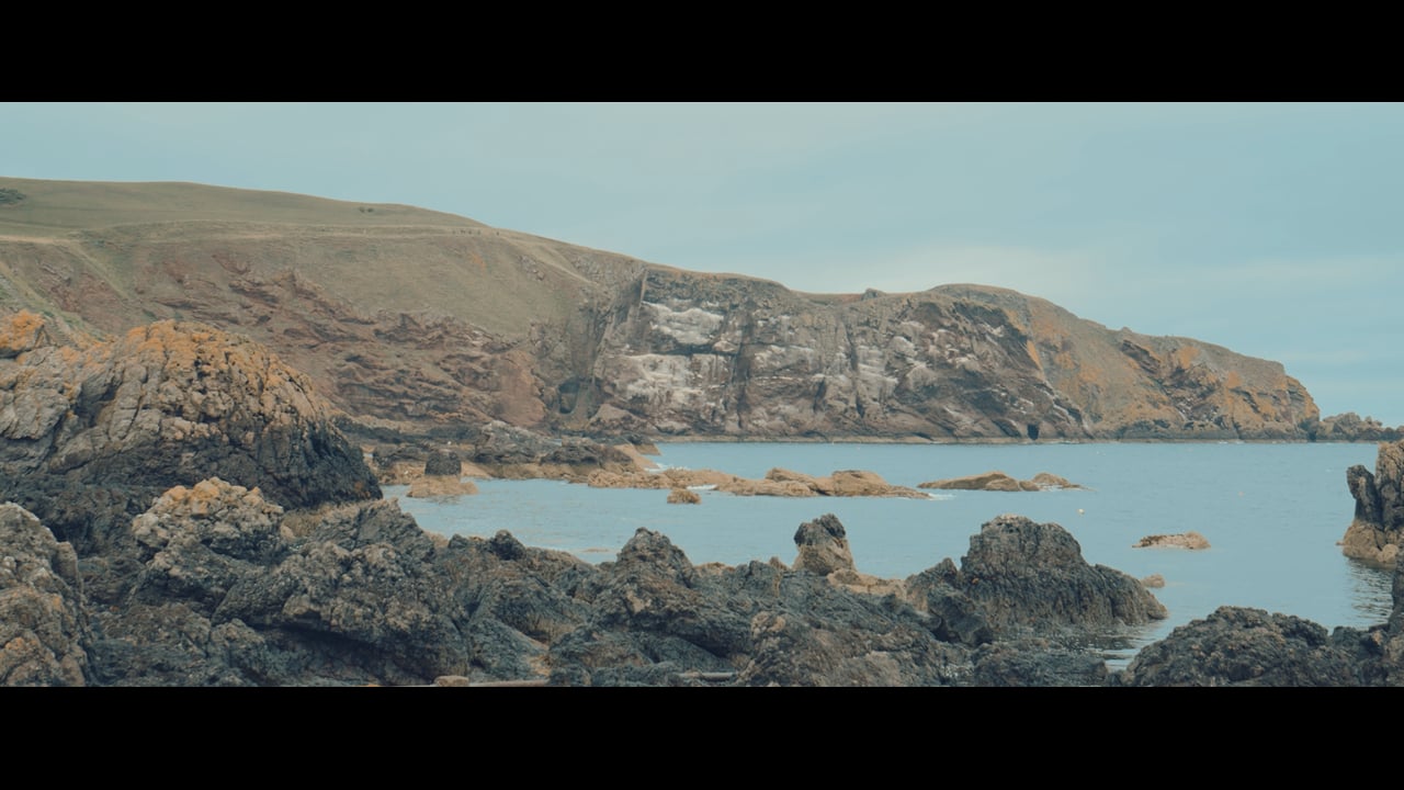 St Abbs Visit | August 2020 | Z Cam E2 S6 + DJI Phantom 3 Professional