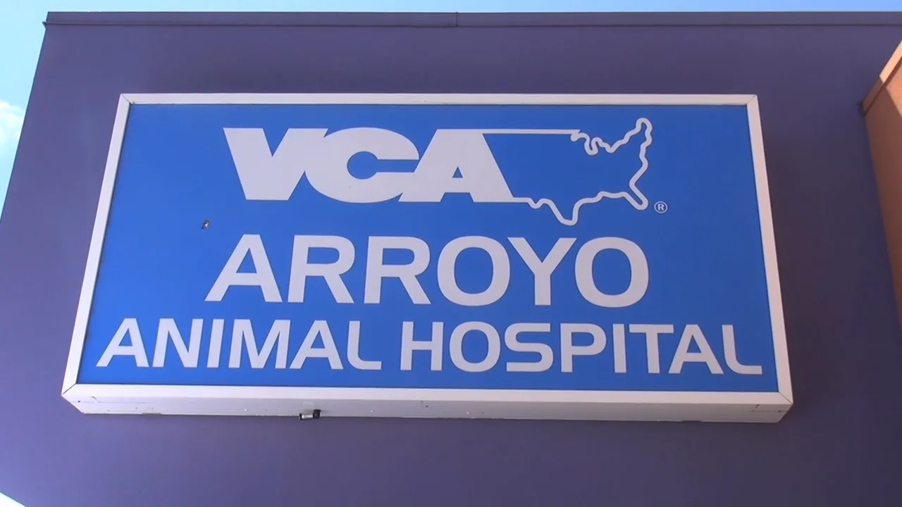 Vca arroyo animal store hospital