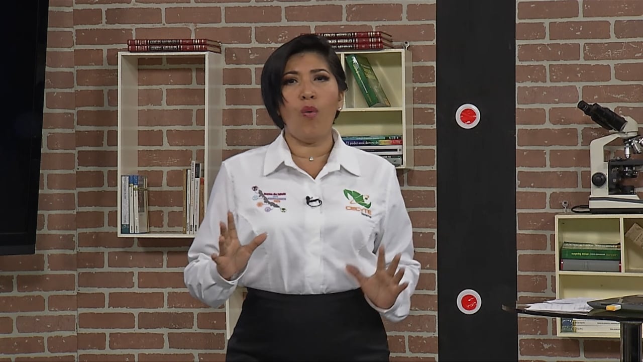 La argumentación como un saber