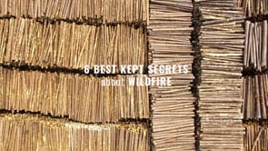 Dotty Owl's Best Kept Secrets of Fire - Ep 6 Logging & Fire