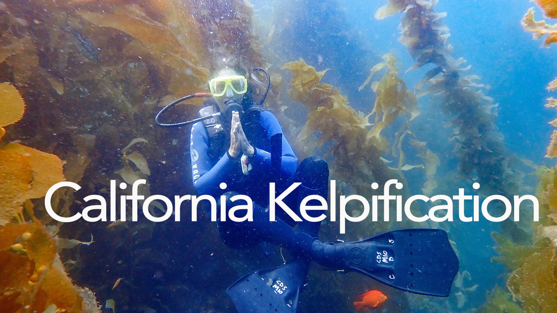 California Kelpification