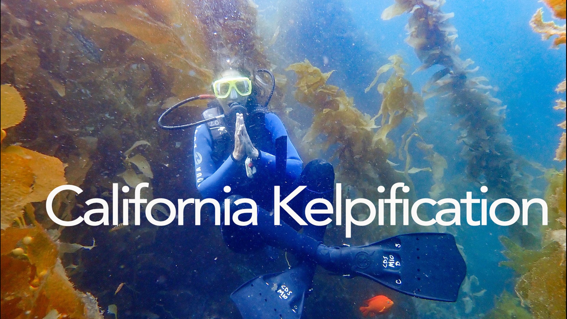 California Kelpification