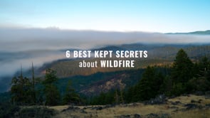 Dotty Owl’s Best Kept Secrets of Fire - Ep 4 Weather